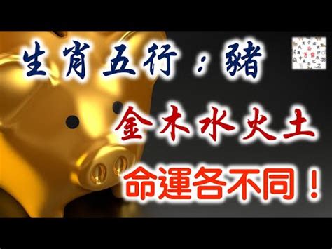 屬豬性格|【豬五行】屬豬五行解密：看懂生肖豬的五行屬性，助你趨吉避兇。